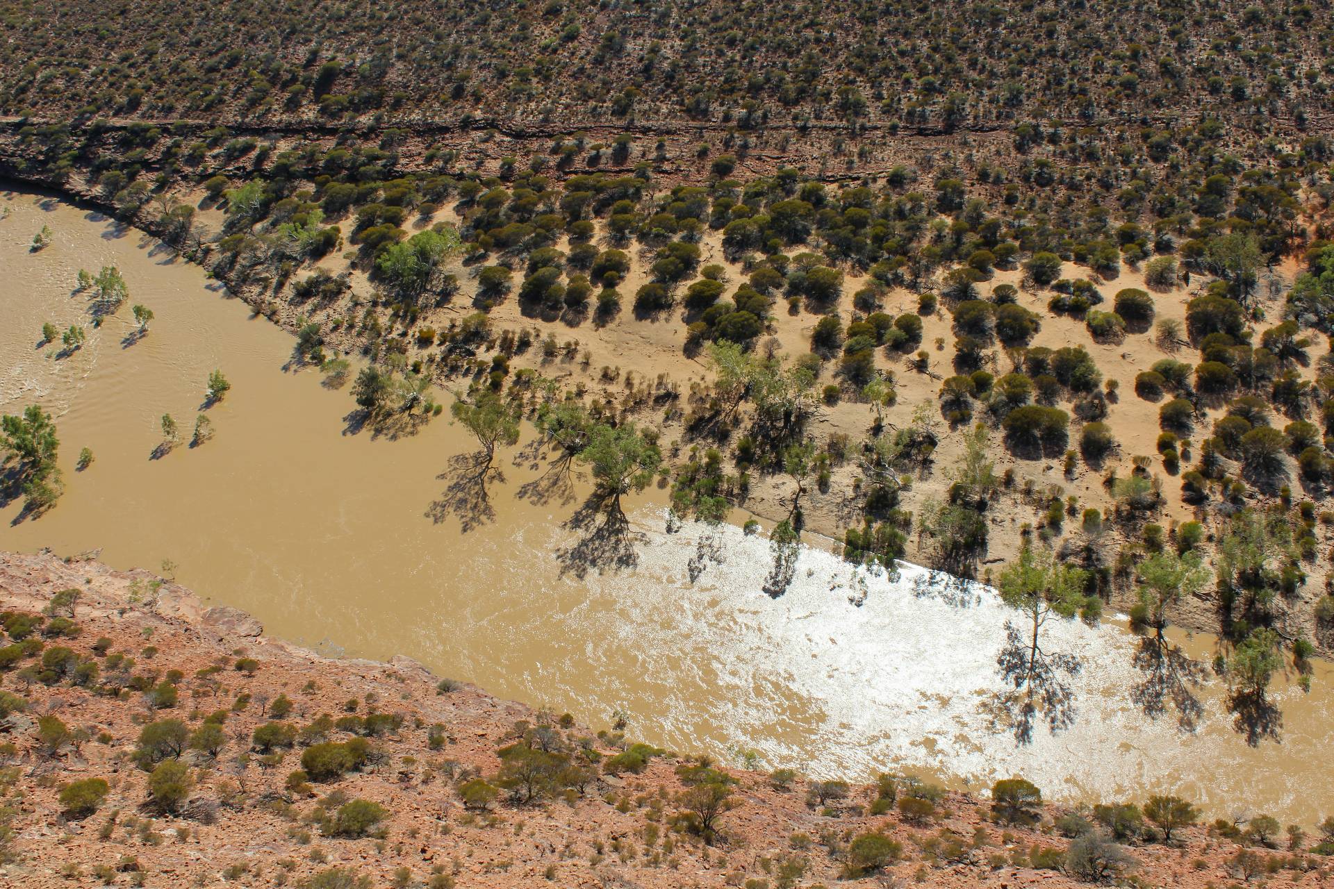 Integrated human health and ecological risk assessment