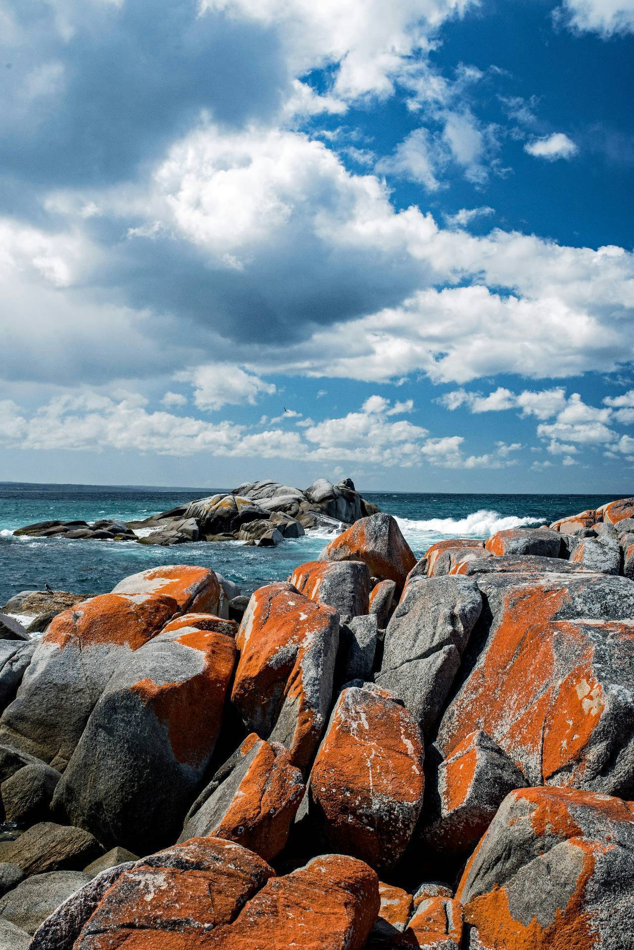 david-clode-ziRyxhB8PYg-unsplash-compressed