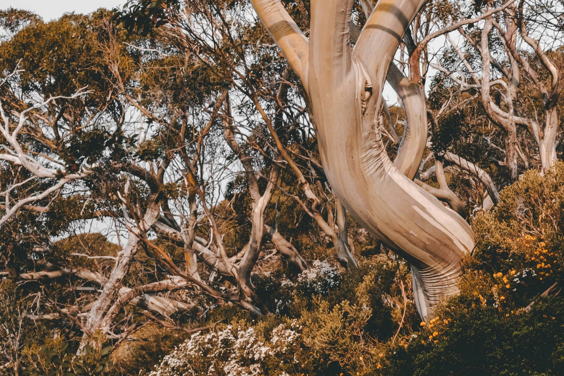 kate-trifo-ToeUxvZvZL0-unsplash-compressed