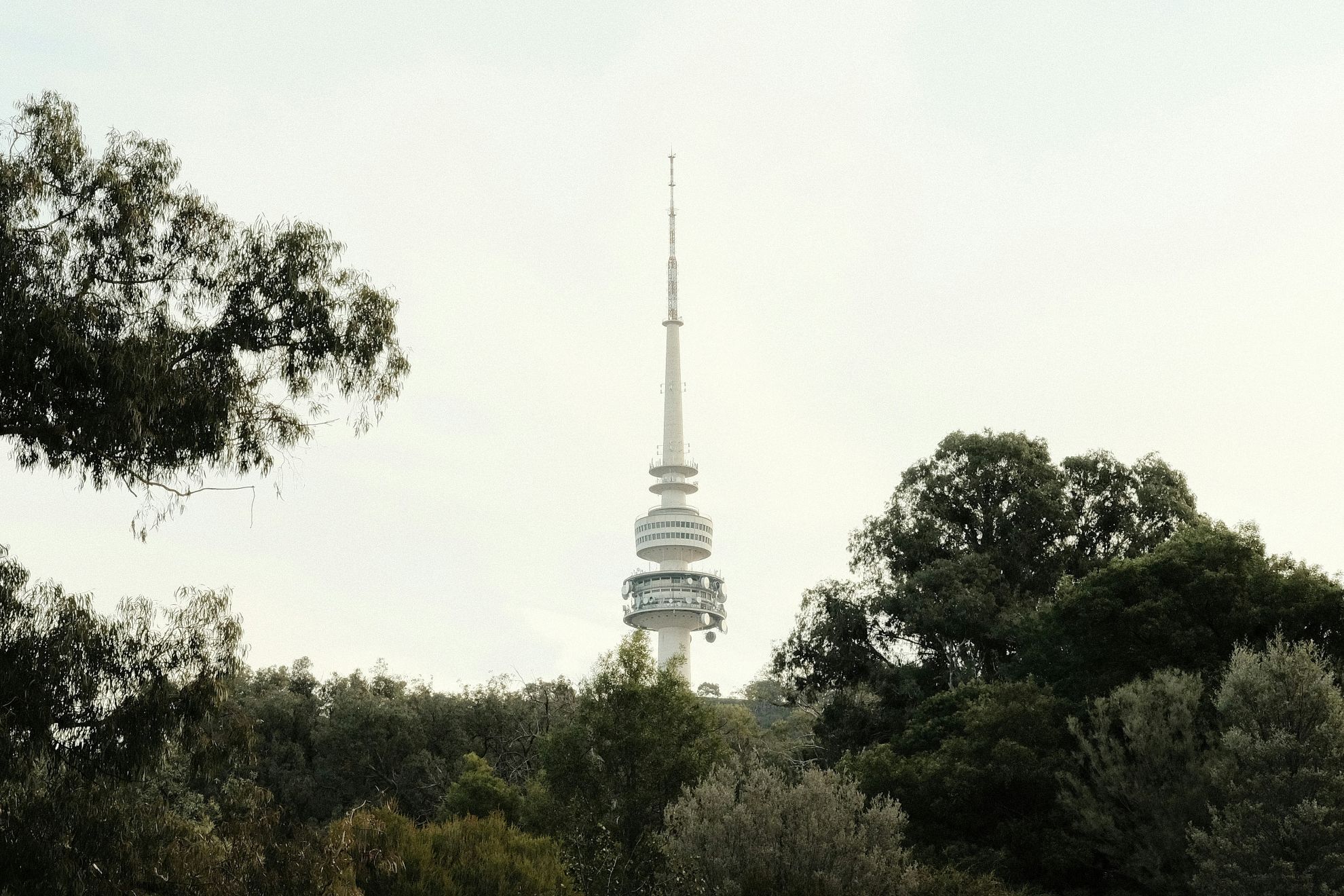 cameron-tidy-e09Qyej2lEM-unsplash